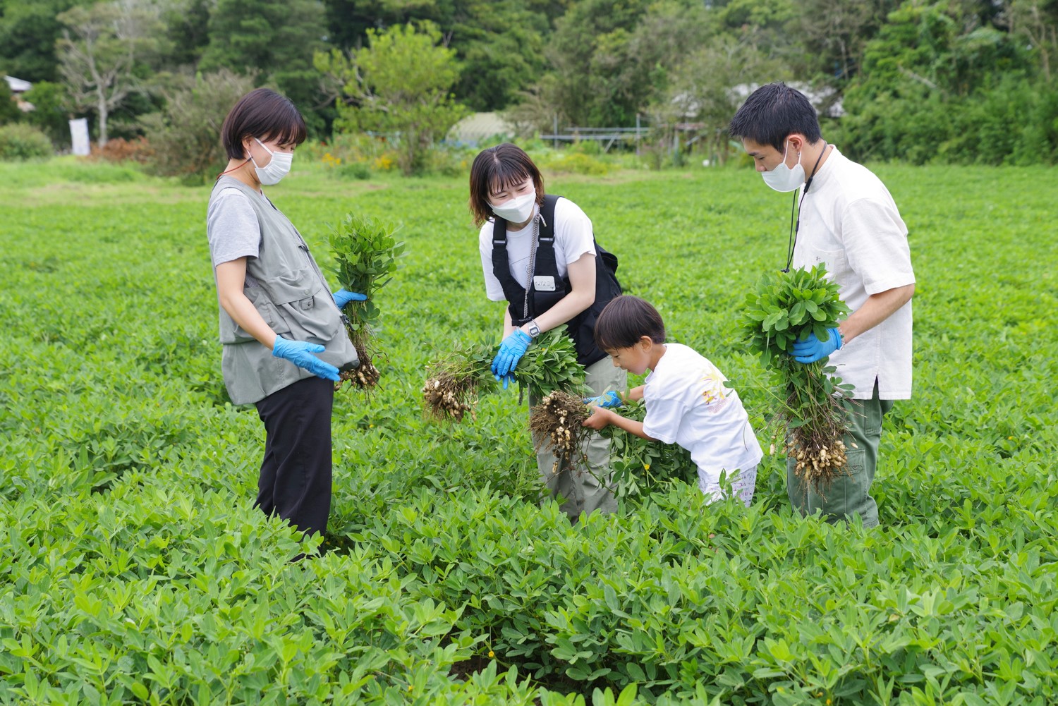 イベント『野積祭（のづみさい）2023夏』開催！ | Bocchi PEANUT