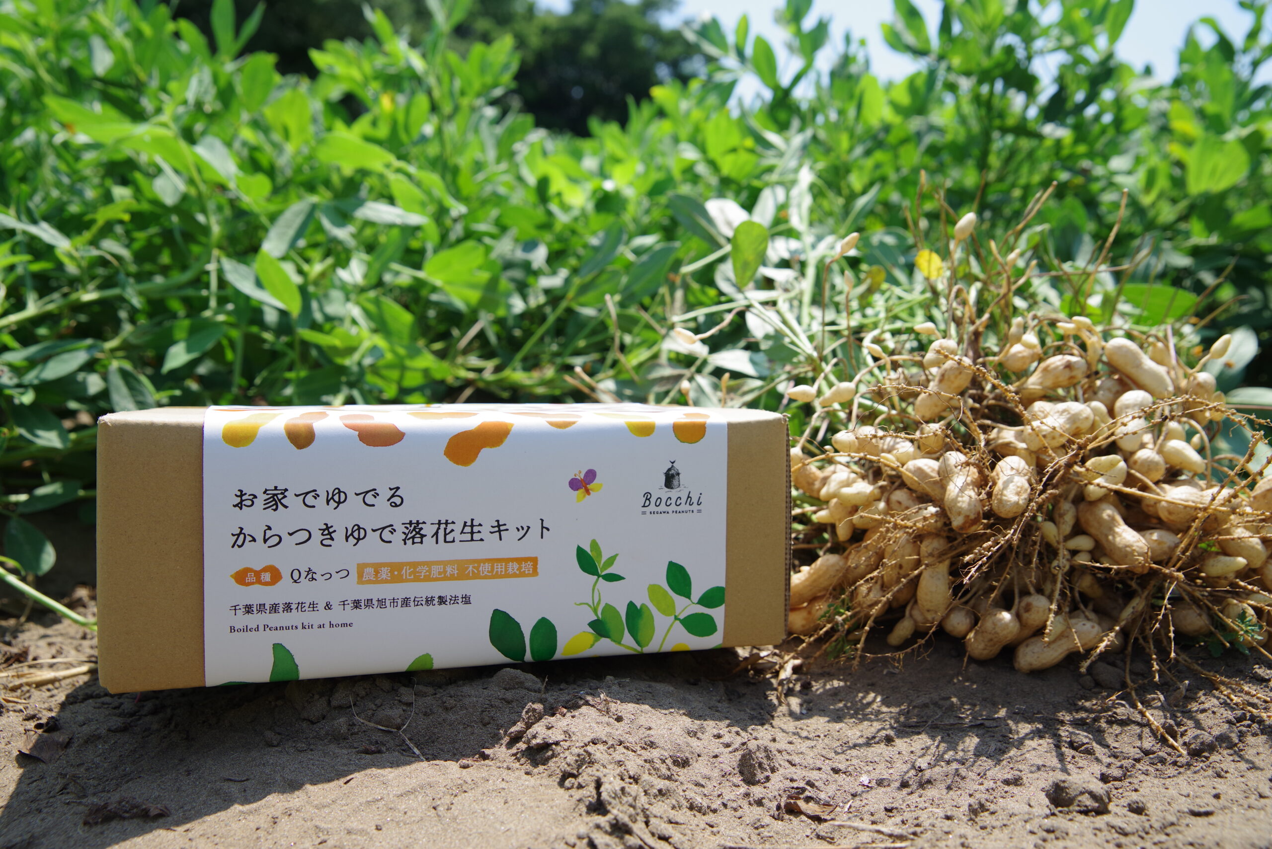 お家でゆでるからつき落花生キット」販売のお知らせ | Bocchi お家でゆでるからつき落花生キット」販売のお知らせ | Bocchi