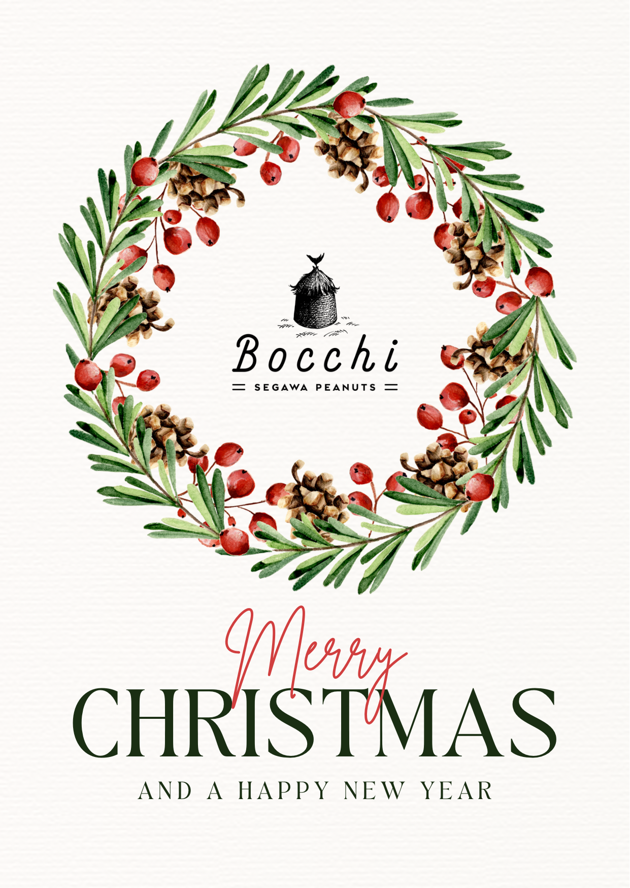 Merry Christmas!チョコサブレプレリリースのお知らせ | Bocchi PEANUT